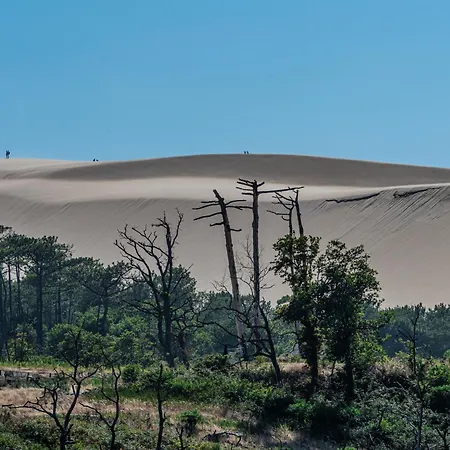 Maison De Pres Du Centre * La Teste-de-Buch